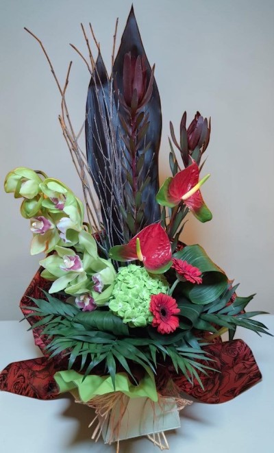 Modern Bouquet - Modern front facing bouquet with Anthurium, Leucodendron, Gerbera, Cymbidum Orchis (replaced when out of season) and other bold seasonal flowers.