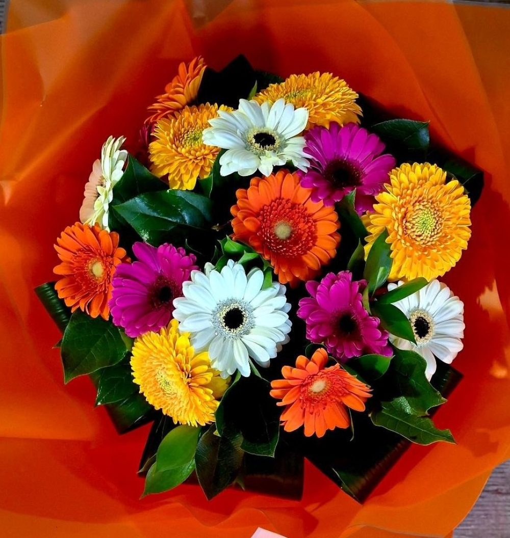 Gerbera Smiles